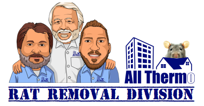 Rat Removal